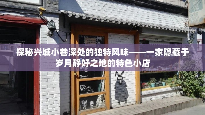 探秘兴城小巷深处的特色小店，岁月静好中的独特风味之旅