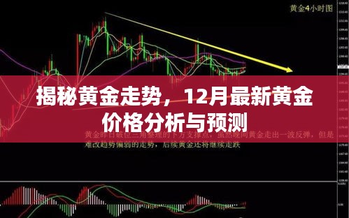 揭秘黄金走势，最新黄金价格分析与预测（12月版）