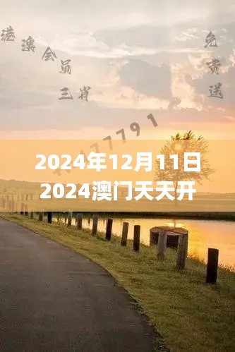 2024年12月11日2024澳门天天开好彩大全53期,专业解答实行问题_Advance1.550