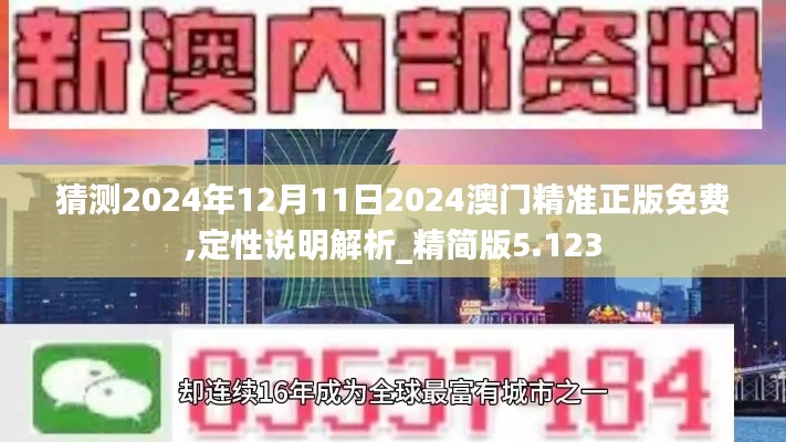 猜测2024年12月11日2024澳门精准正版免费,定性说明解析_精简版5.123