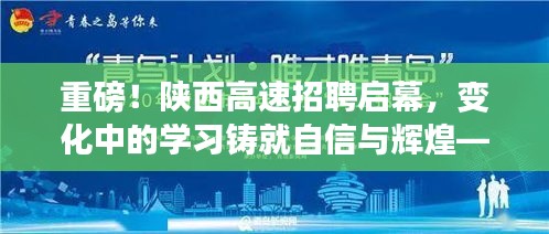 2024年12月12日 第31页