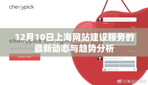 上海网站建设服务最新动态与趋势解析，十二月十日报告发布