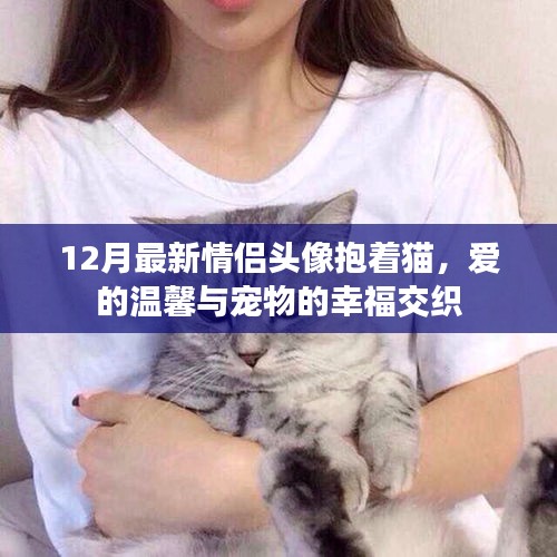 情侣头像十二月情侣抱猫，爱的温馨与宠物的幸福时刻