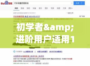 初学者与进阶用户指南，高端网站建设公司的详细步骤指南（12月10日版）