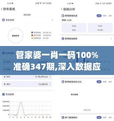 管家婆一肖一码100%准确347期,深入数据应用解析_FT3.562