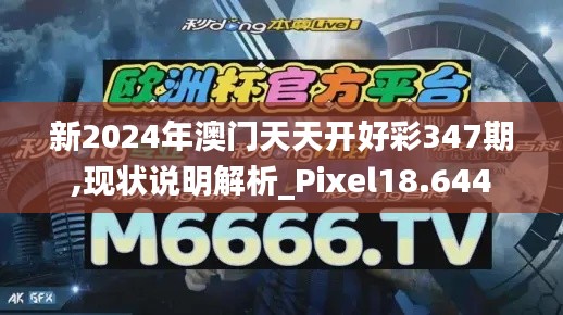 新2024年澳门天天开好彩347期,现状说明解析_Pixel18.644