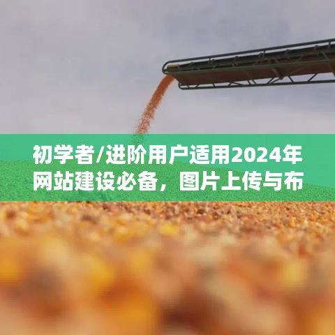 2024年网站建设必备，图片上传与布局详细步骤指南，适合初学者与进阶用户