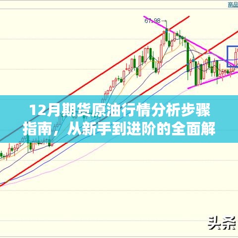 新手到进阶全方位解析，12月期货原油行情分析步骤指南