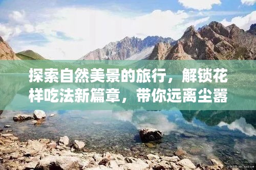 自然探索之旅，解锁美食新篇章，寻觅内心的宁静与喜悦