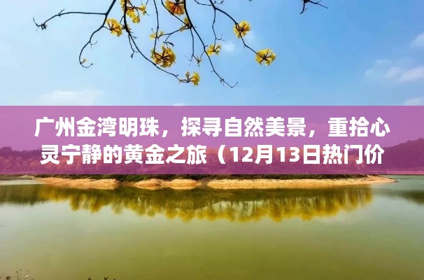 广州金湾明珠，自然美景探寻与心灵宁静的黄金之旅（12月热门价格探秘）