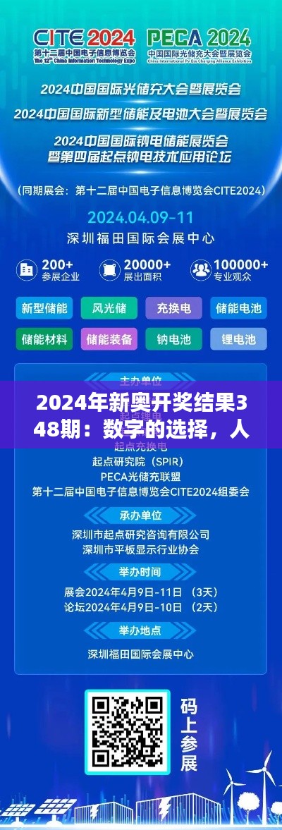 2024年新奥开奖结果348期：数字的选择，人生的选择