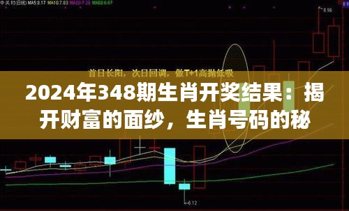 2024年348期生肖开奖结果：揭开财富的面纱，生肖号码的秘密