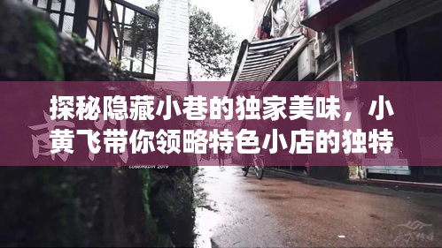 探秘小巷独特美味，小黄飞带你领略特色小店风情之旅