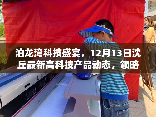 泊龙湾科技盛宴，沈丘最新高科技产品动态，领略未来生活新篇章（12月13日）