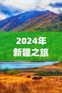 2024年新疆之旅，疫情后的心灵绿洲奇妙探险