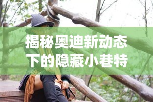 奥迪新动态下的隐藏小巷奇妙探索之旅，特色小店的惊喜揭秘