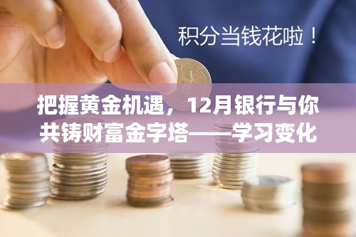 把握黄金机遇，共铸财富金字塔，银行助力下的学习成长与自信闪耀