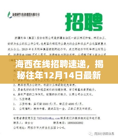 海西在线招聘速递，揭秘最新招聘动态，掌握往年12月14日职位信息速递！