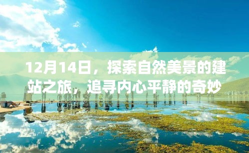 追寻内心平静的奇妙旅程，探索自然美景的建站之旅（12月14日）