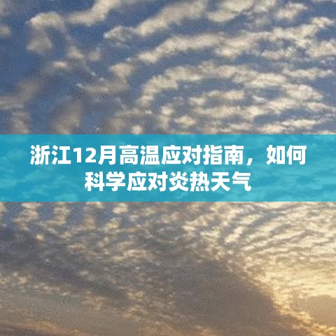 浙江应对高温指南，科学应对炎热天气的策略