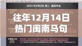 往年12月14日闽南马句视频回顾，深度解析与观点分享