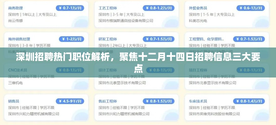 深圳招聘热门职位解析，聚焦十二月十四日招聘信息三大要点详解