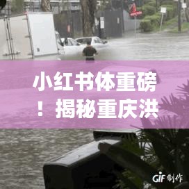 小红书爆料，重庆洪水最新动态揭秘——12月14日紧急更新消息🚨🌊