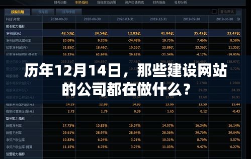 历年12月14日网站公司运营动态，聚焦建设与发展重点的日子