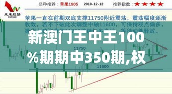 新澳门王中王100%期期中350期,权威诠释推进方式_Windows9.413