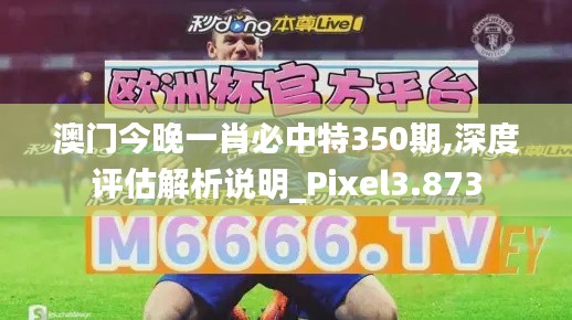 澳门今晚一肖必中特350期,深度评估解析说明_Pixel3.873