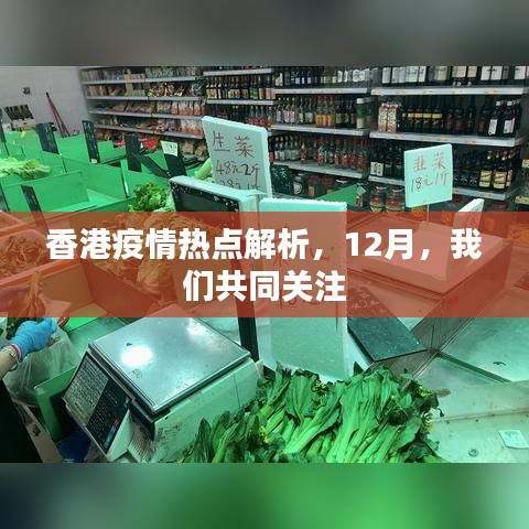 香港疫情热点解析，12月共同关注时刻