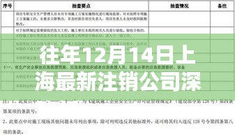 往年12月上海注销公司深度解析，特性、体验、竞品对比及用户群体洞察