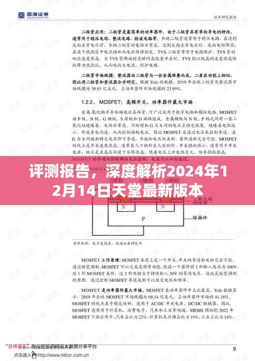 天堂最新版本深度评测报告，2024年12月14日更新解析