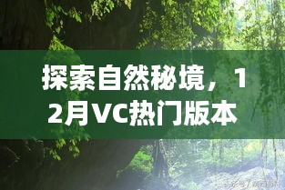 探索自然秘境，热门VC带你开启心灵之旅的十二月之旅