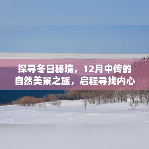 探寻冬日秘境，十二月中传自然美景之旅启程，寻找内心的宁静与平和