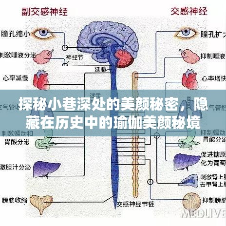 探秘历史小巷中的瑜伽美颜秘境，隐秘之美颜秘密揭晓