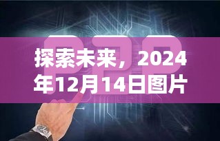 精选金典瞬间集锦，探索未来，2024年12月14日图片大观