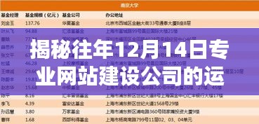 揭秘专业网站建设公司运营之道，历年12月14日的秘密策略解密