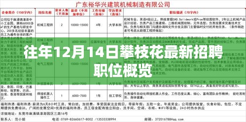 往年12月14日攀枝花最新招聘职位概览及解析