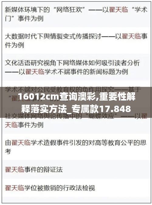 16012cm查询澳彩,重要性解释落实方法_专属款17.848