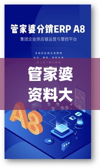 管家婆资料大全,全面数据策略实施_定制版3.969