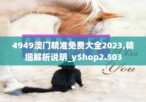 4949澳门精准免费大全2023,精细解析说明_yShop2.503