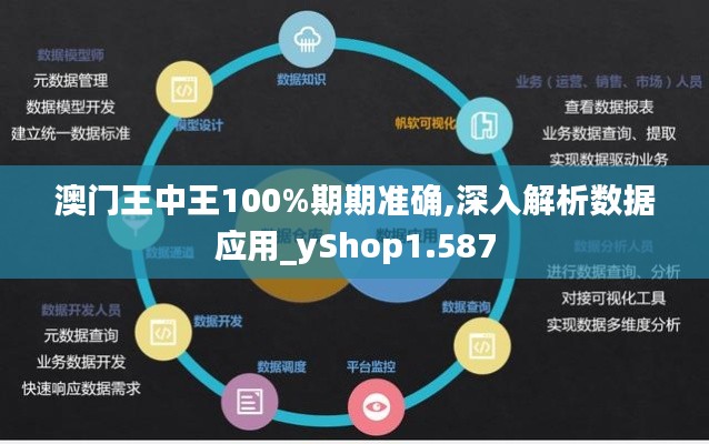 澳门王中王100%期期准确,深入解析数据应用_yShop1.587