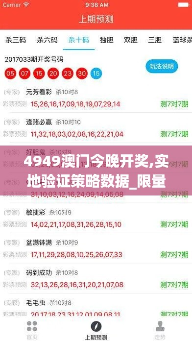 4949澳门今晚开奖,实地验证策略数据_限量款5.891