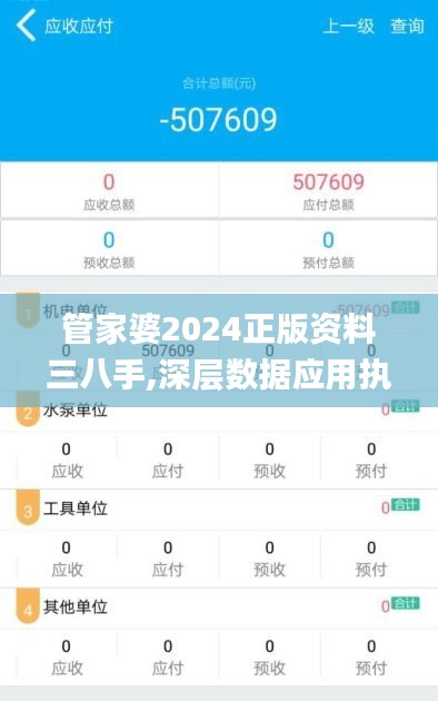 管家婆2024正版资料三八手,深层数据应用执行_pro10.554