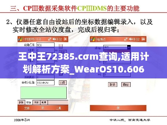 王中王72385.cσm查询,适用计划解析方案_WearOS10.606