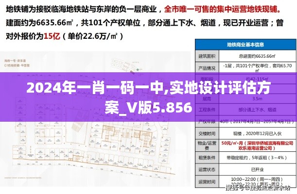 2024年一肖一码一中,实地设计评估方案_V版5.856