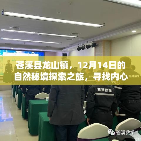 苍溪县龙山镇秘境探索之旅，寻找心灵宁静与平和的十二月之旅