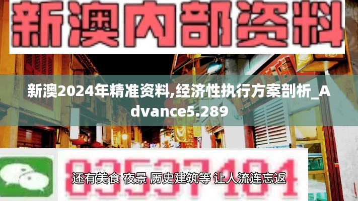 新澳2024年精准资料,经济性执行方案剖析_Advance5.289