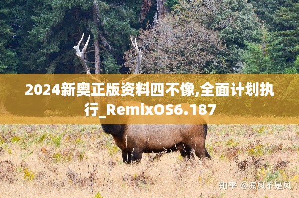 2024新奥正版资料四不像,全面计划执行_RemixOS6.187